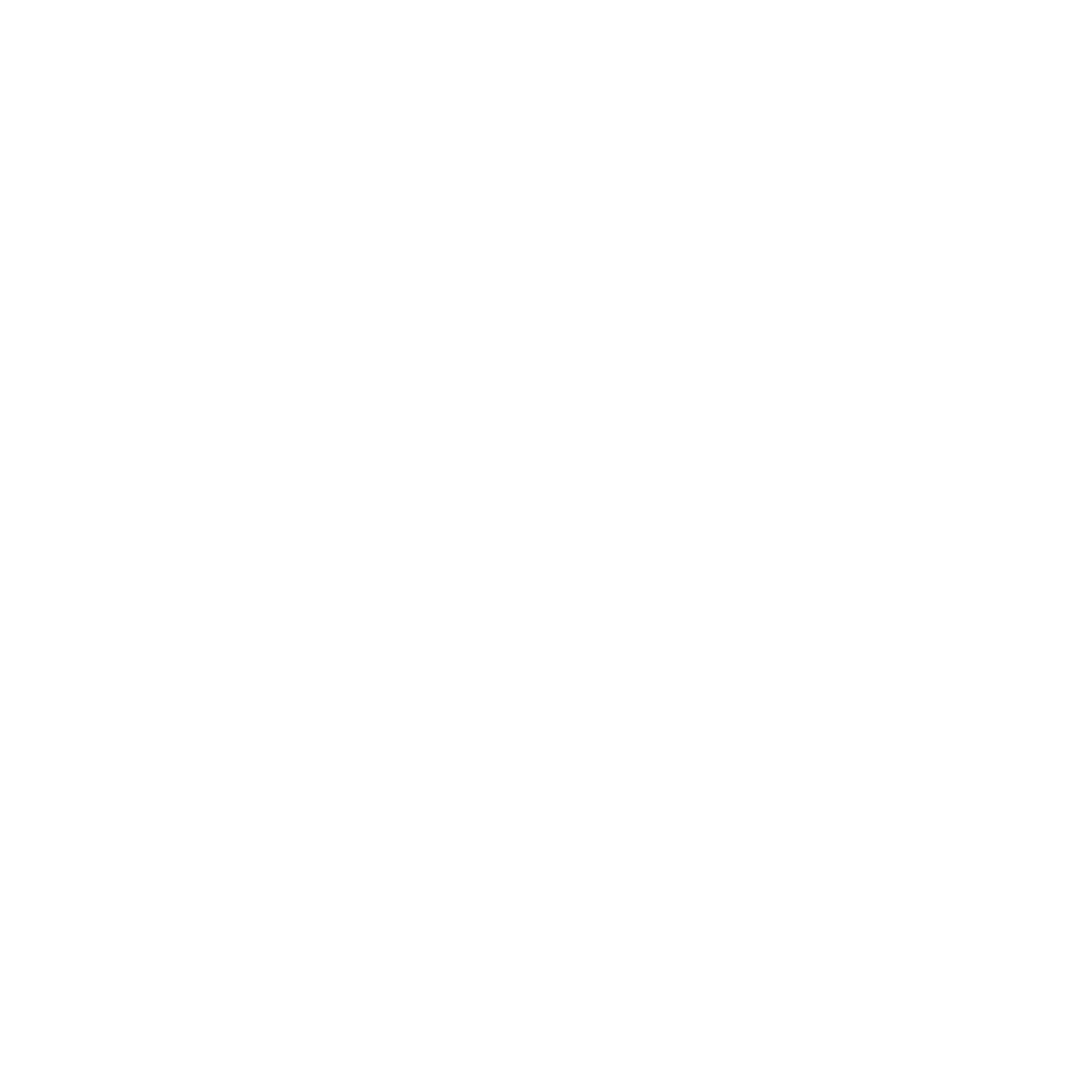 splitter logo